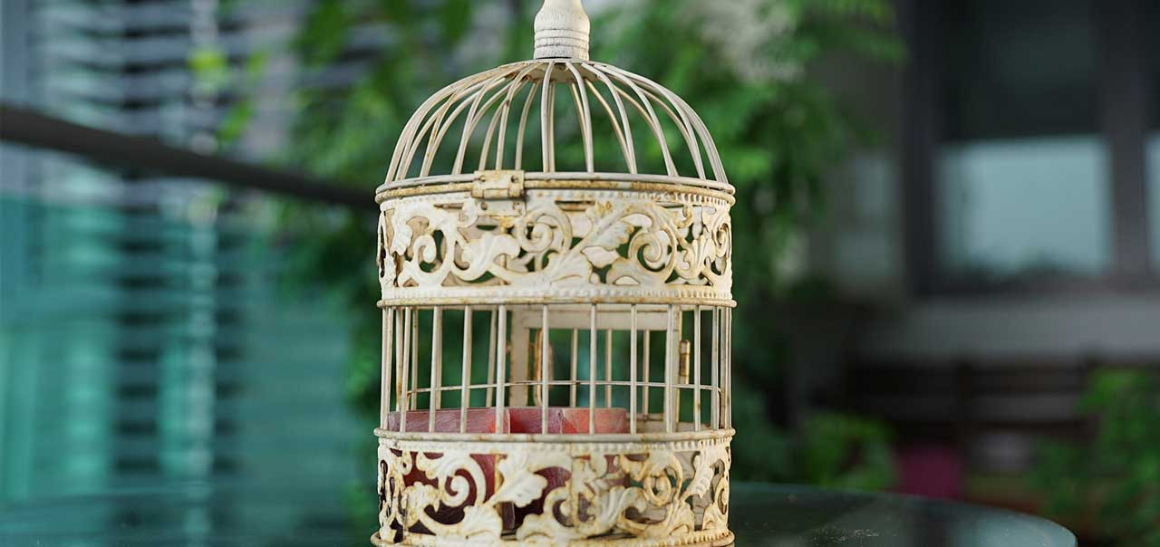 Literacy Writing: I know why the caged bird sings