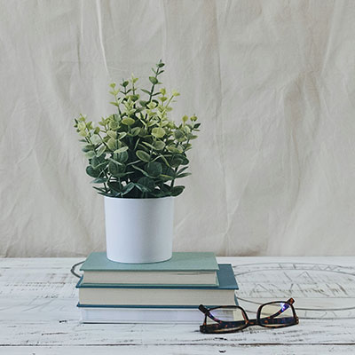 plant-books-glasses-on-desk